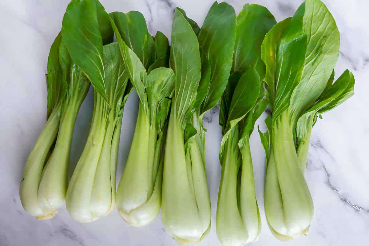 Six bokchoy full pieces side by side