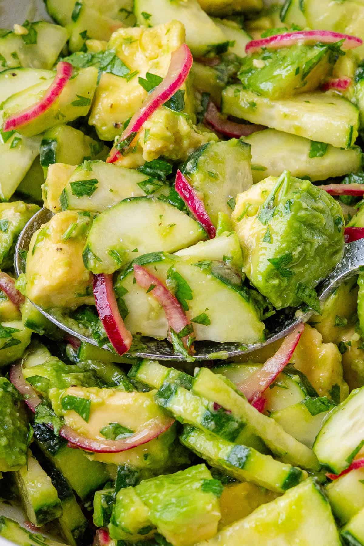 Avocado Salad bowl with silver spoon