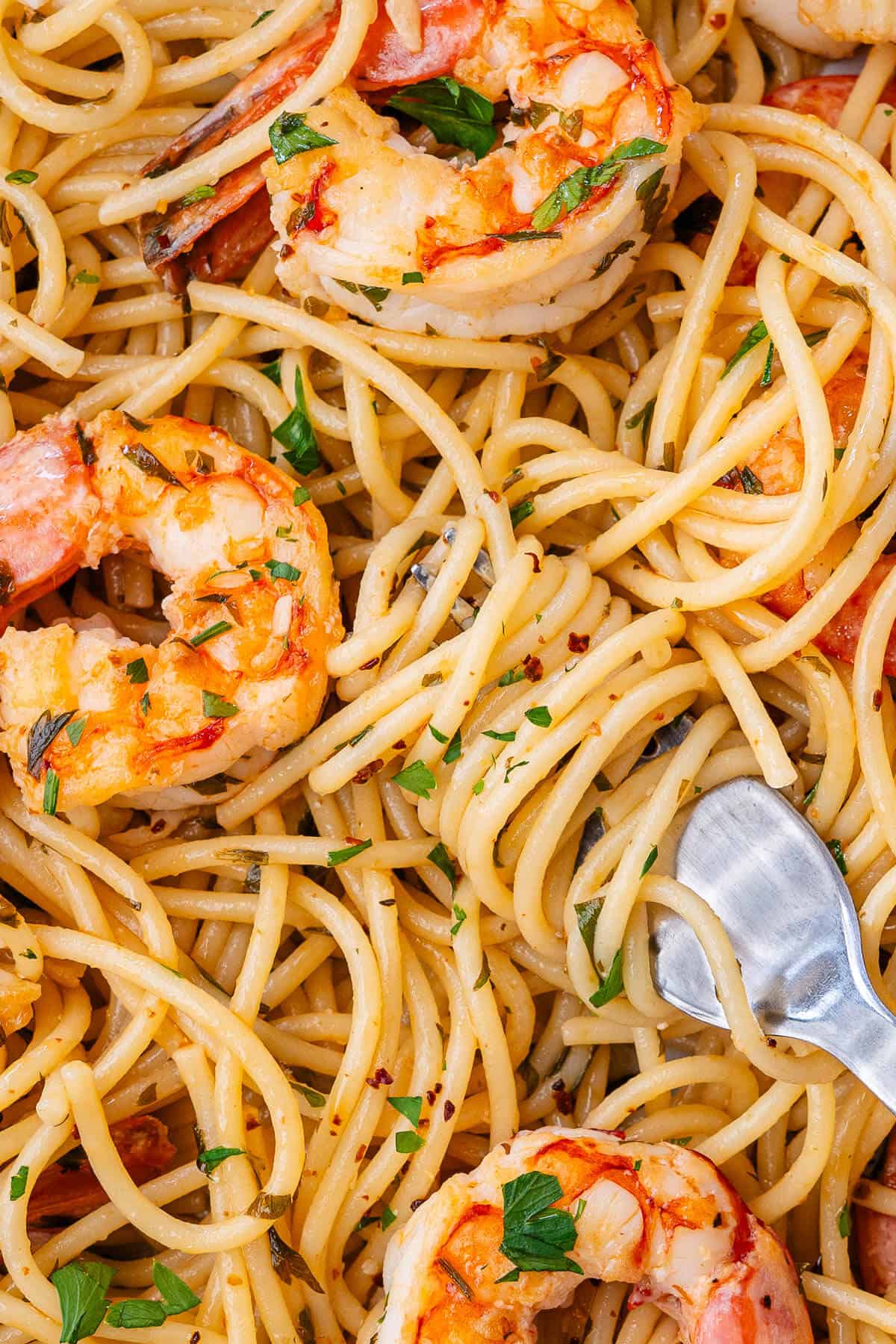 Fork full of shrimp pasta