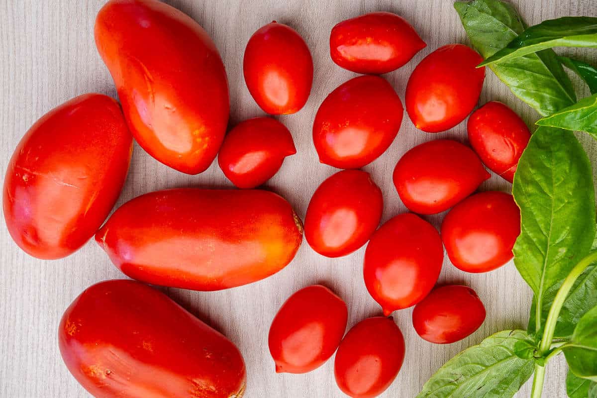 Whole roma and cherry tomatoes with basil on the side