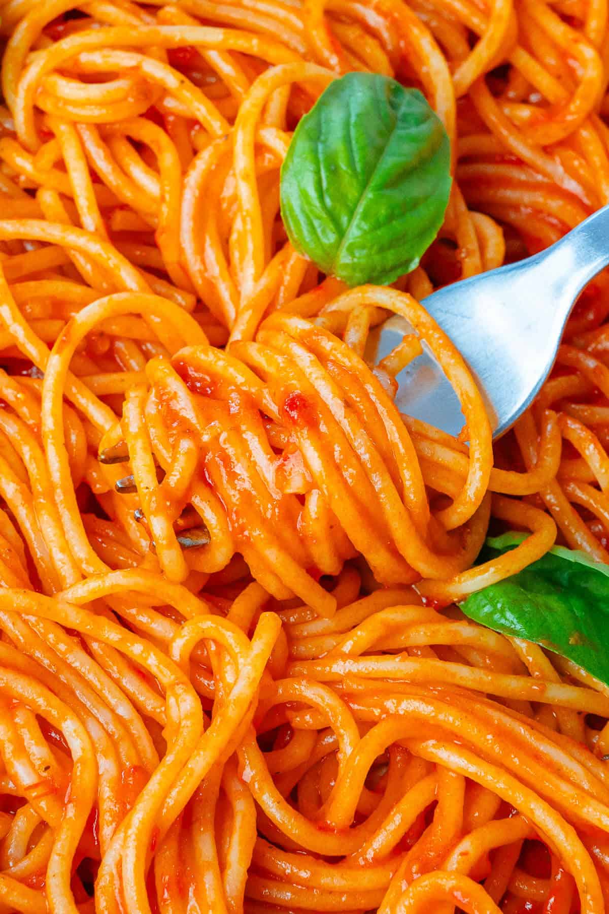 Close up of fork of spaghetti al pomodoro