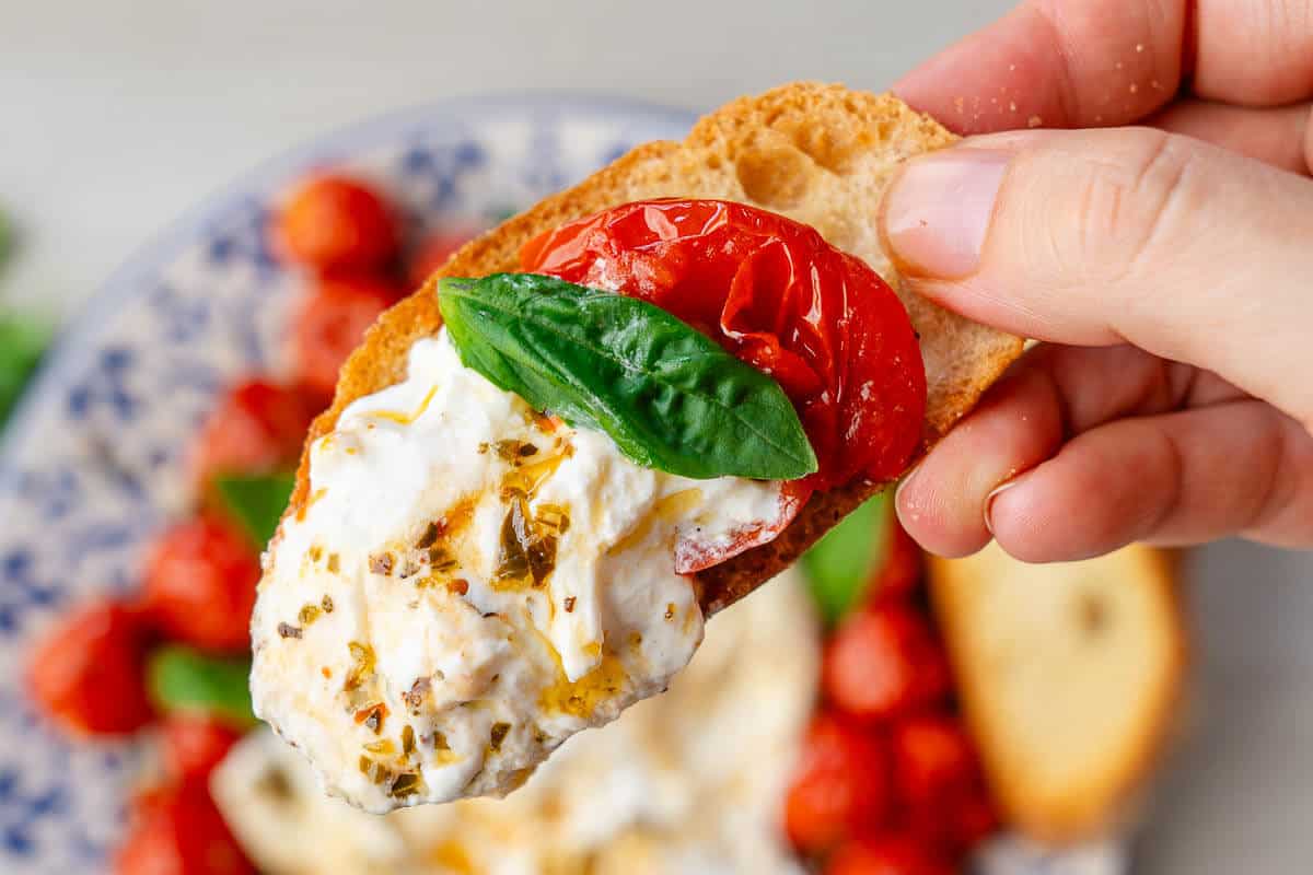 Close up of crostini with a scoop of burrata and tomatoes