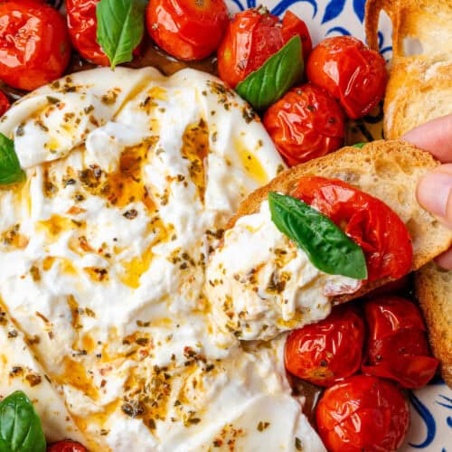 Crostini dipped into burrata appetizer with roasted cherry tomatoes