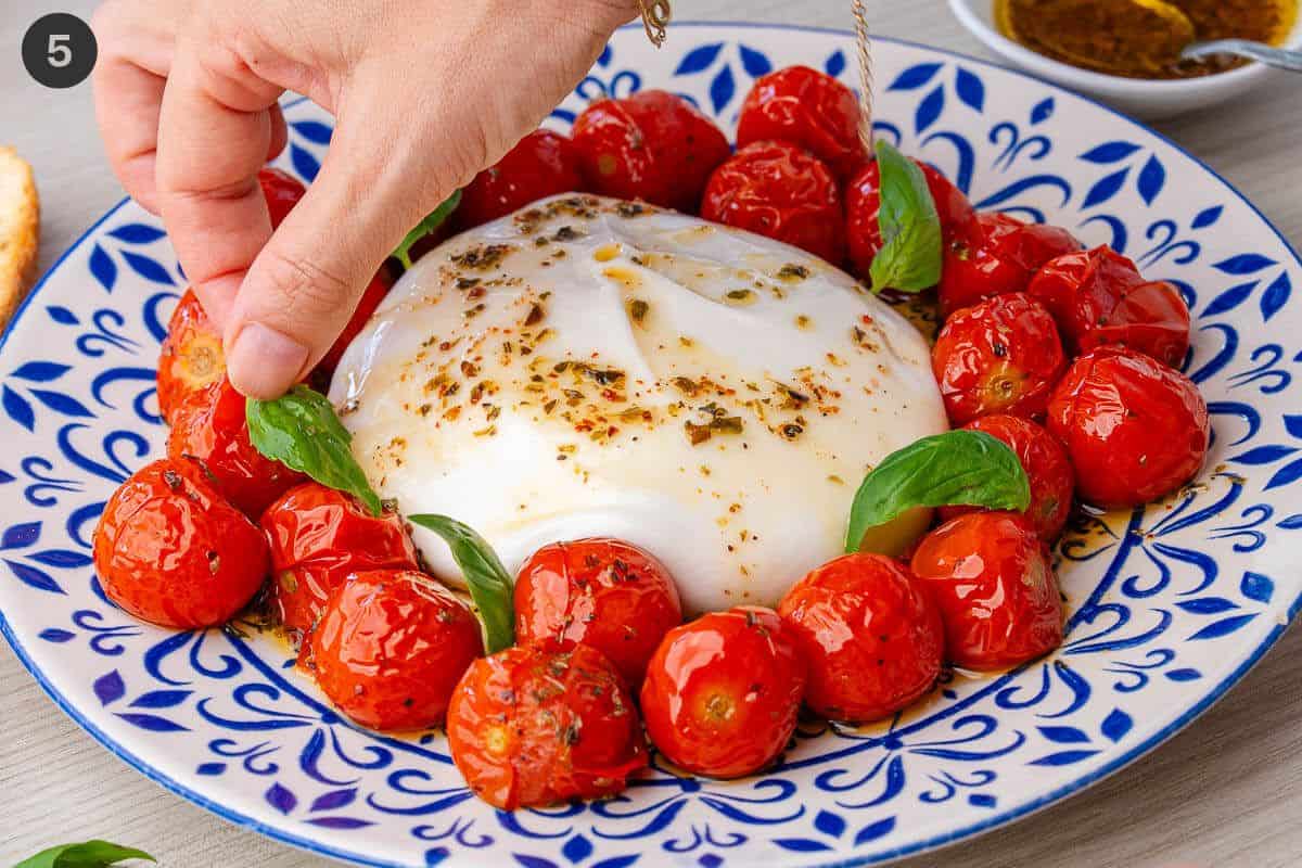 Burrata cheese placed in the middle of the place, drizzled with the dressing and topped with fresh basil