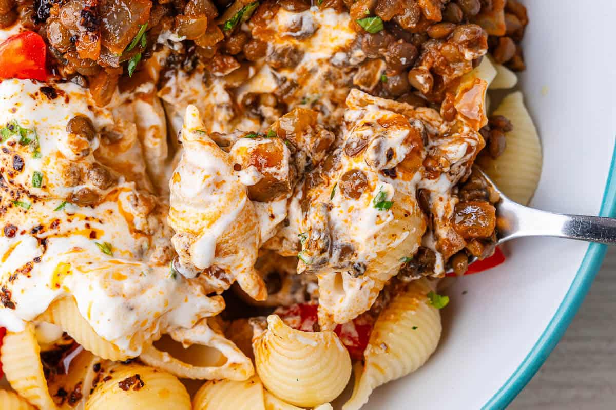 Fork full of Turkish Pasta to show it all mixed up